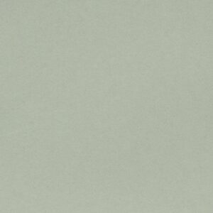 Dekoratyvinis/Perdirbtas popierius CRUSH Kiwi, 72×102 cm, A5/A4/A3/SRA3/A2/A1, 120g/m², 250 g/m²