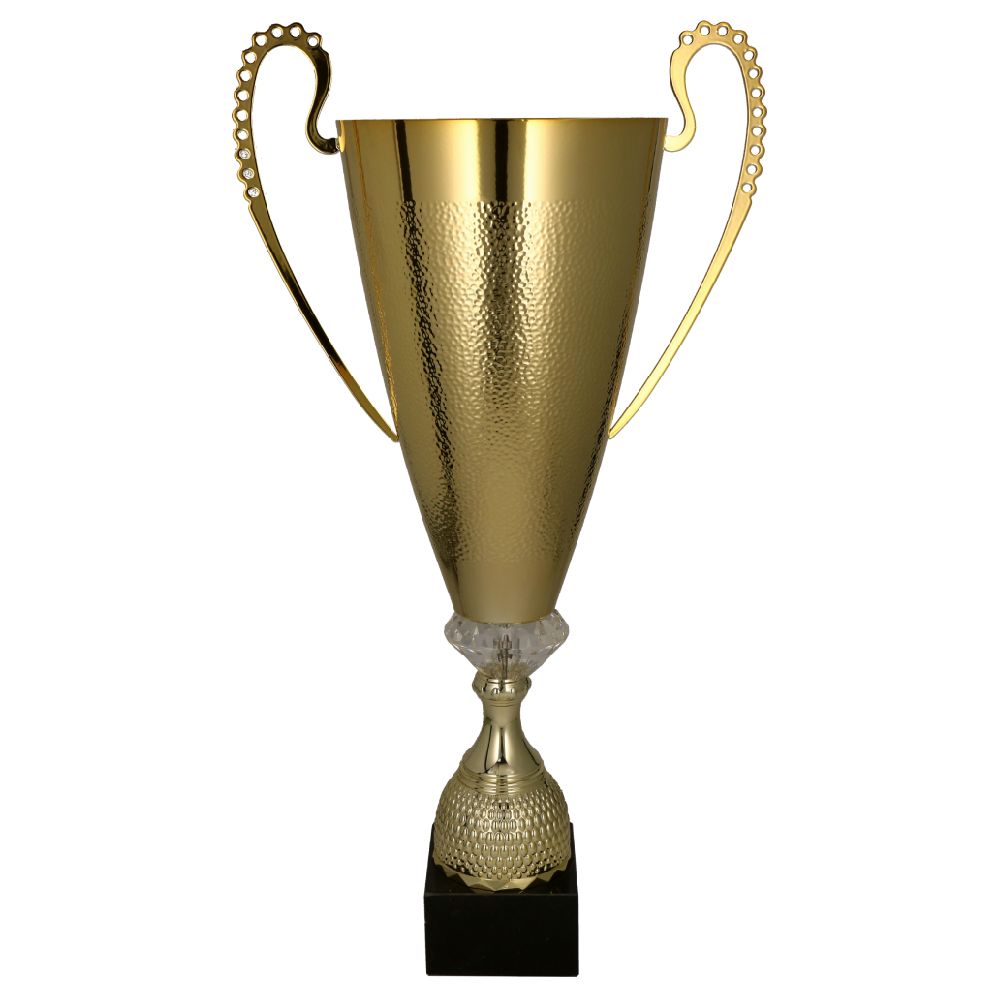 Prestižinė taurė 1076/1077 Prestižinė taurė 1076/1077