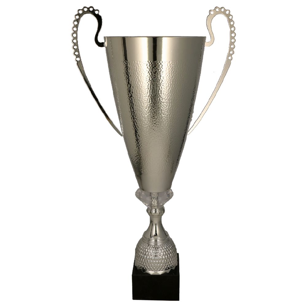 Prestižinė taurė 1076/1077 Prestižinė taurė 1076/1077